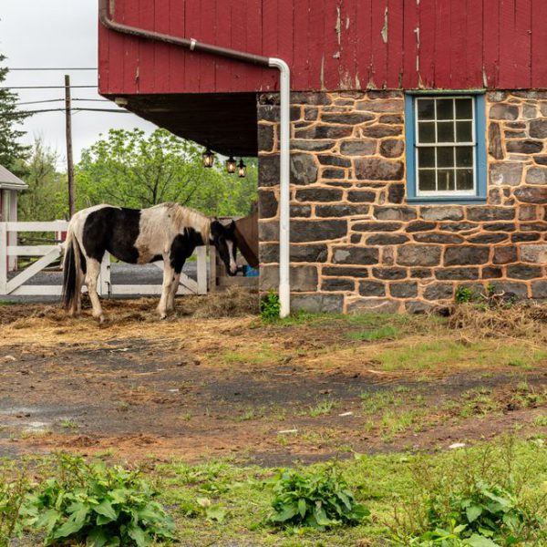 Træpiller Erhverv 15 kg × 72 (1 palle)